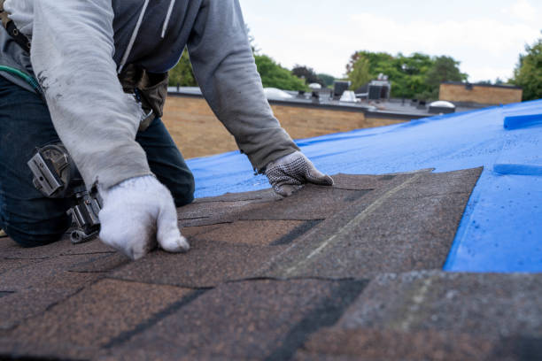 Roof Repair Estimates in Berryville, AR