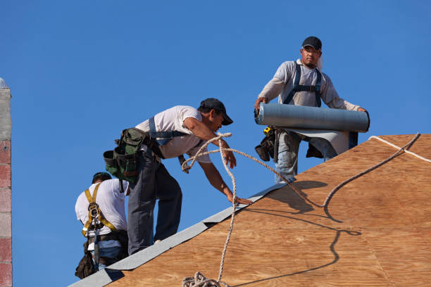 Best Emergency Roof Repair  in Berryville, AR