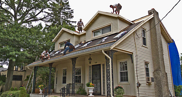 Best Roof Repair Services  in Berryville, AR